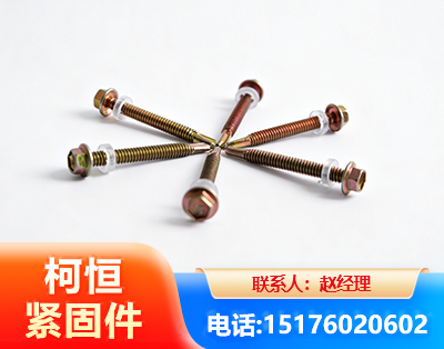 衢州六角钻尾丝